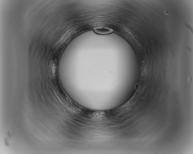 X0000100410124200806201808