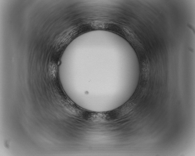 X0000100410125200806201808