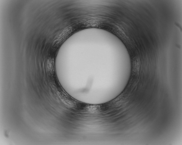 X0000100410126200806201808