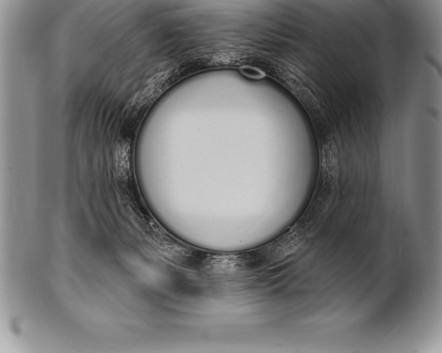 X0000100410127200806201808