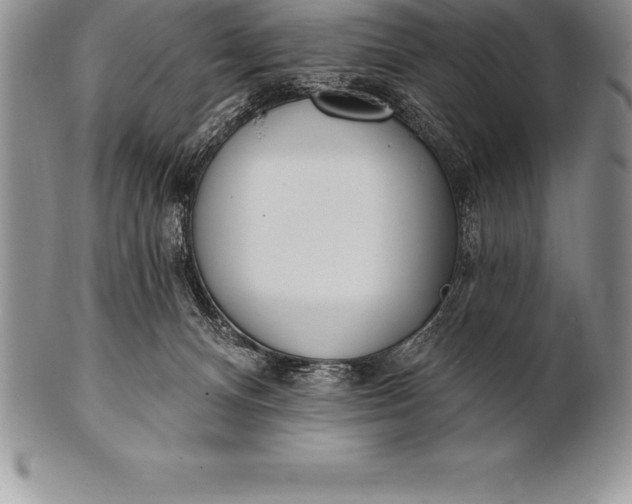 X0000100410128200806201808