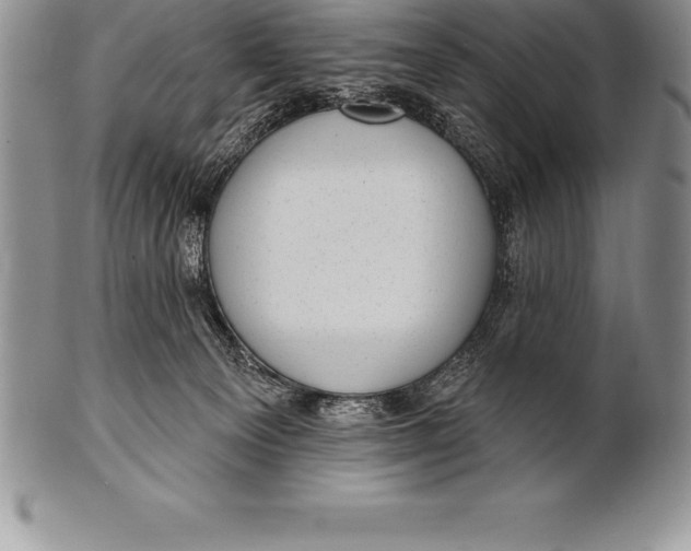 X0000100410129200806201808