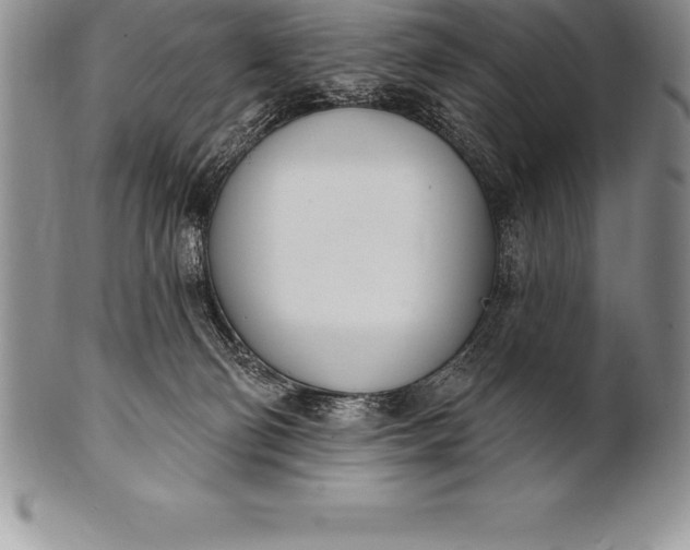 X0000100410130200806201808