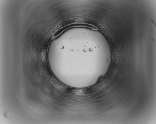 X0000100410131200806201808