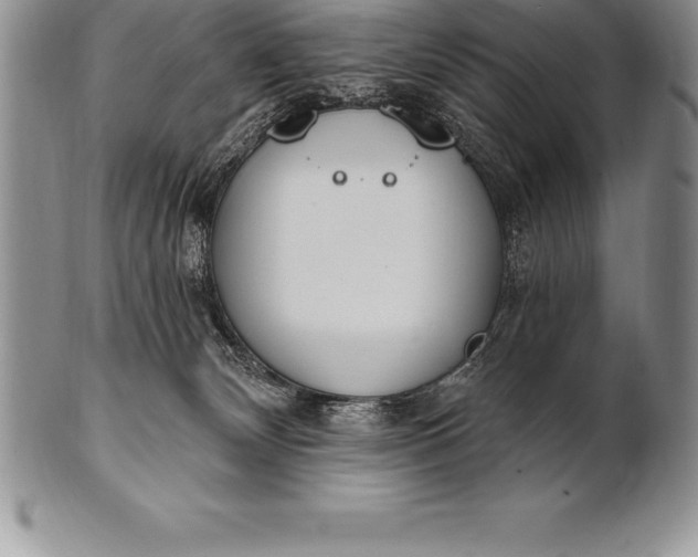 X0000100410132200806201808