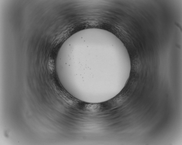 X0000100410135200806201808