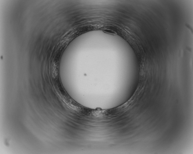 X0000100410136200806201808