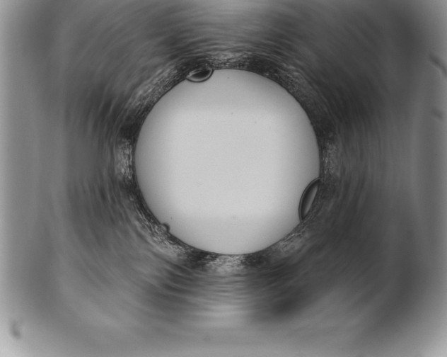 X0000100410138200806201808