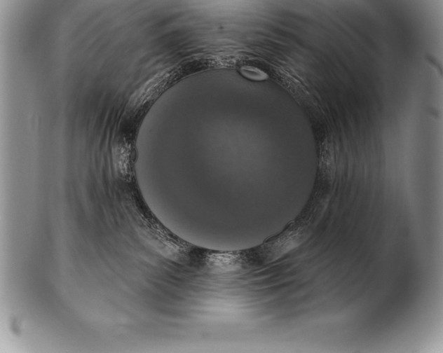 X0000100410139200806201807