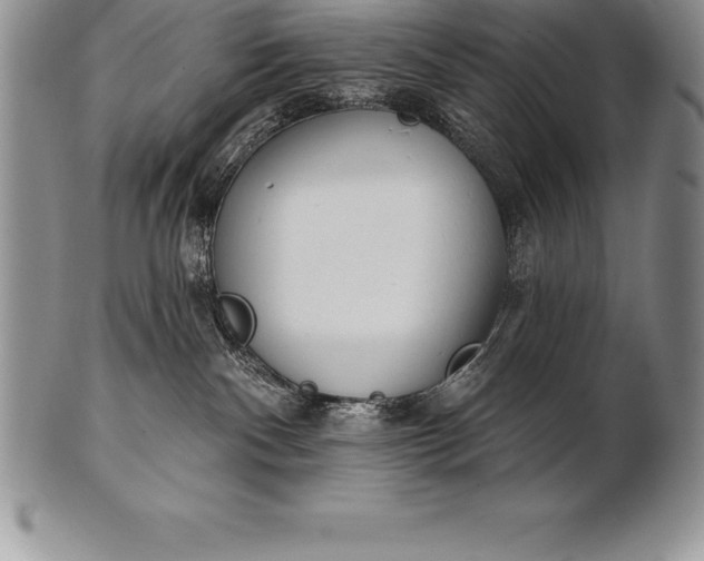 X0000100410140200806201807