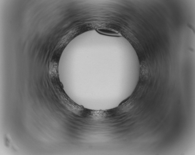 X0000100410141200806201807