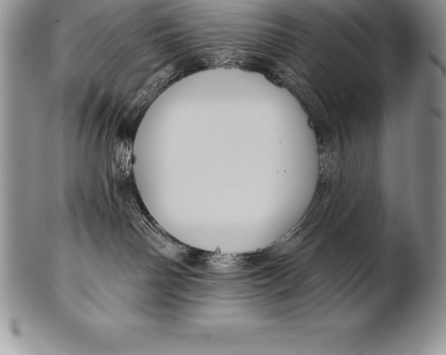 X0000100410142200806201807