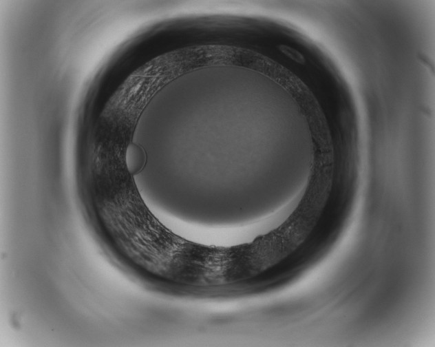 X0000100410143200806201807