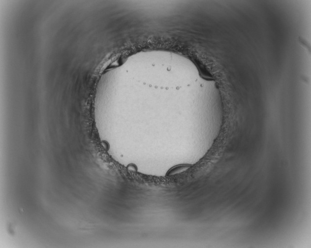 X0000100410144200806201807