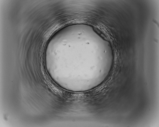 X0000100410145200806201807