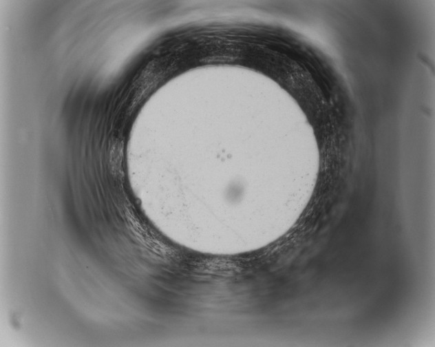 X0000100410146200806201807