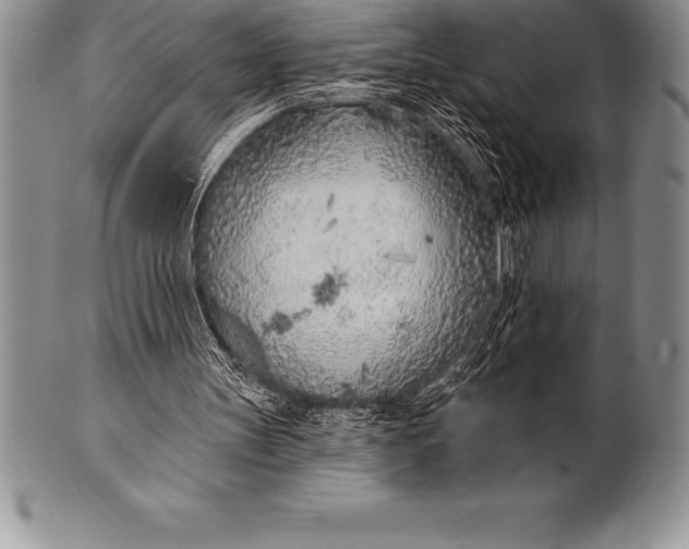 X0000100410147200806201807