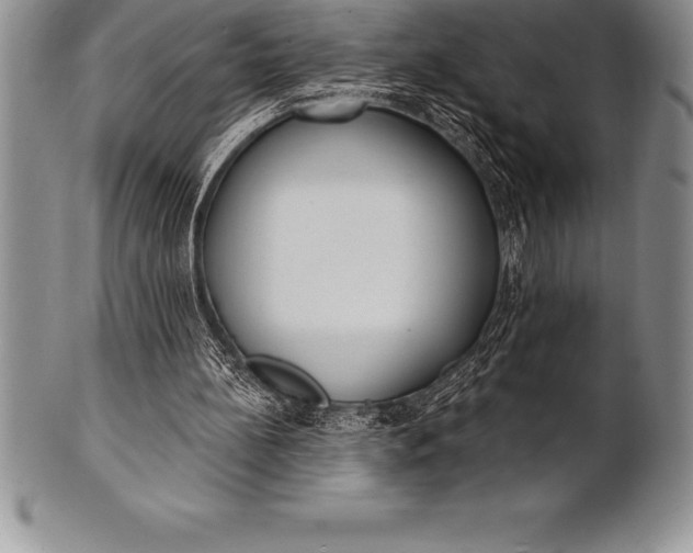 X0000100410148200806201807