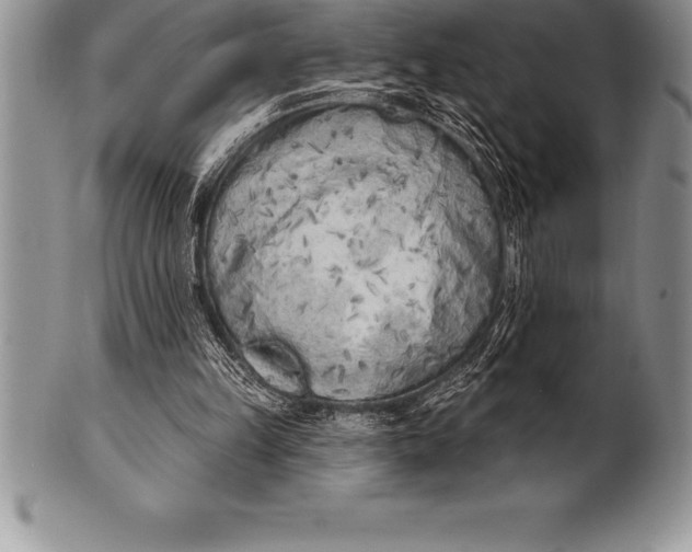 X0000100410149200806201807