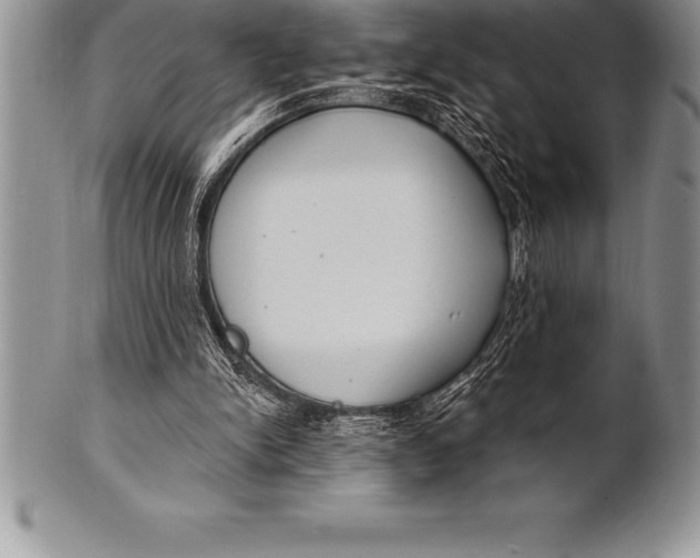 X0000100410150200806201807