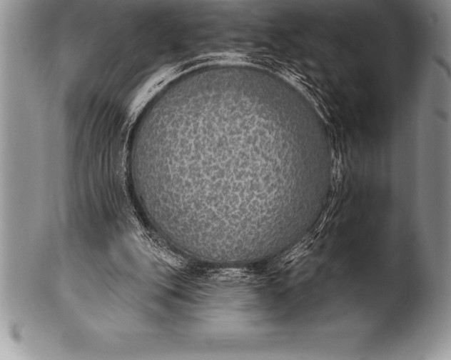 X0000100410151200806201807