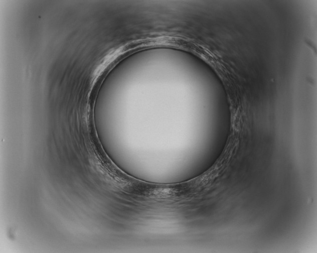 X0000100410152200806201807