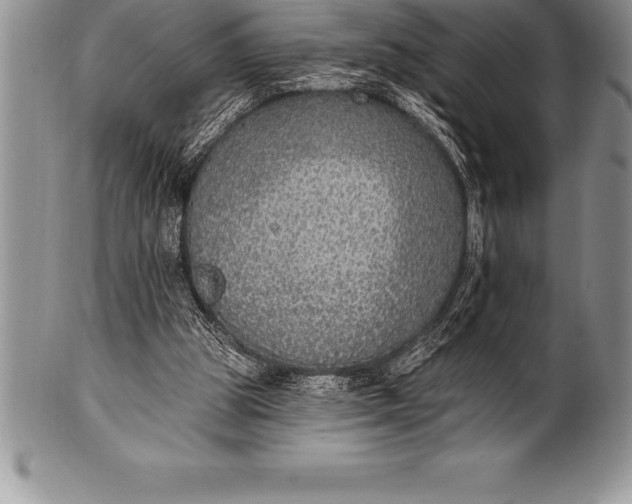 X0000100410153200806201807