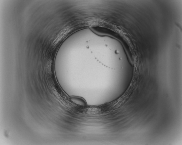 X0000100410154200806201807