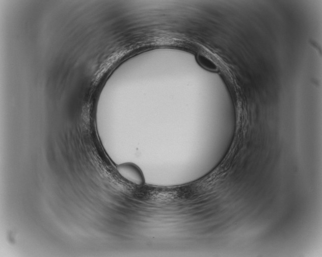 X0000100410155200806201807