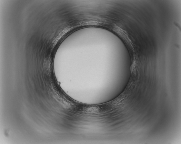 X0000100410156200806201807