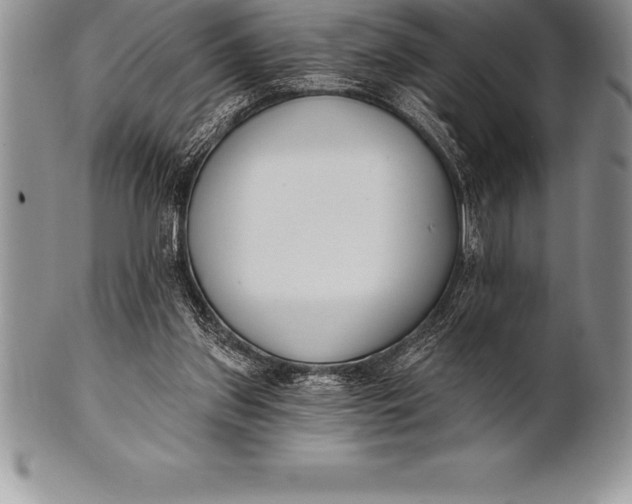 X0000100410157200806201807