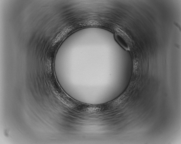 X0000100410158200806201807