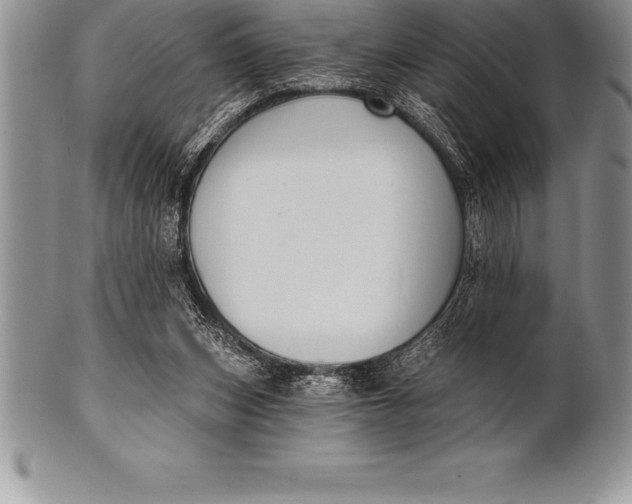 X0000100410159200806201807