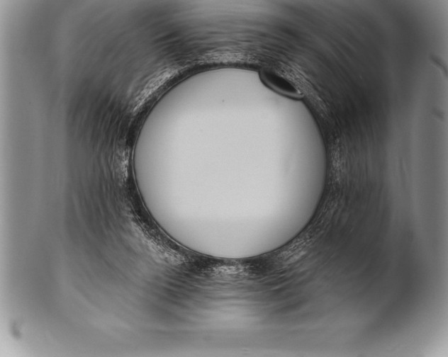 X0000100410160200806201807