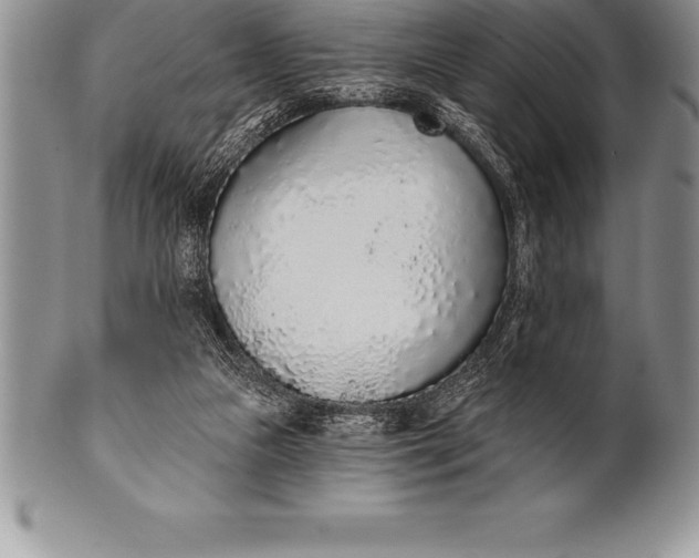 X0000100410161200806201807