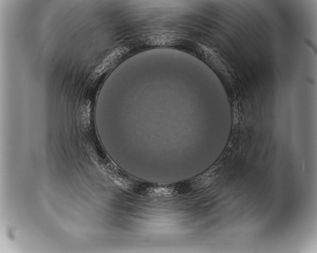 X0000100410163200806201807