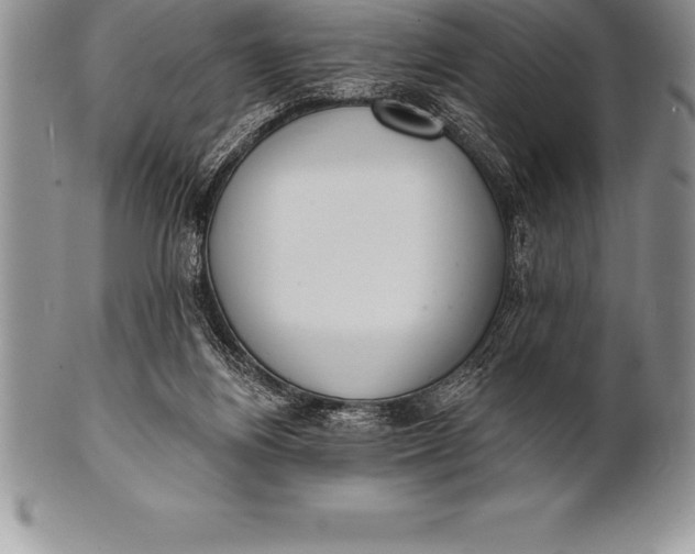 X0000100410164200806201807