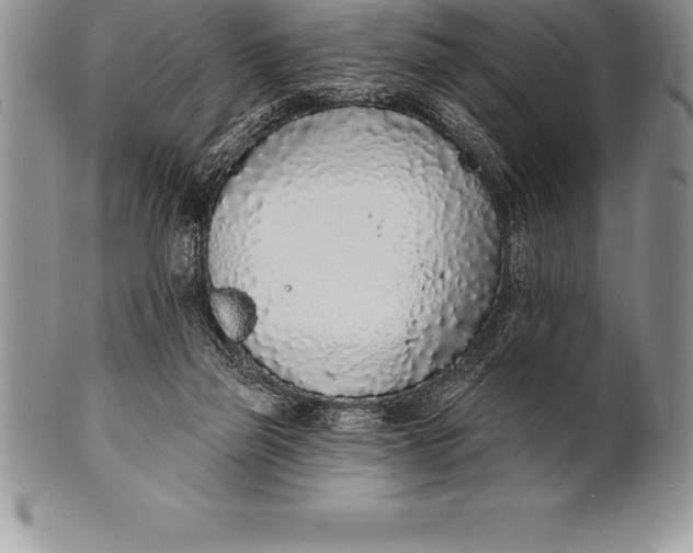 X0000100410165200806201807