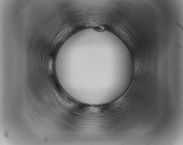 X0000100410166200806201807