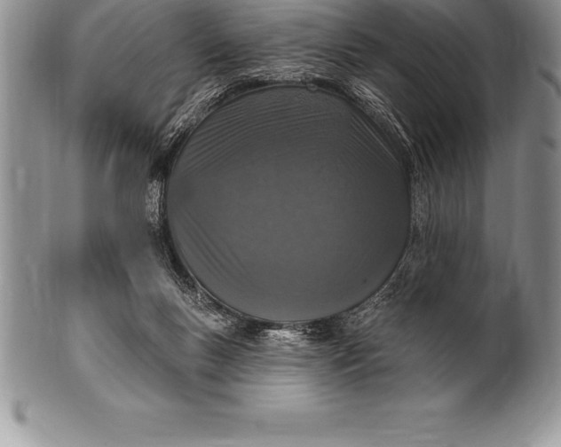 X0000100410167200806201807