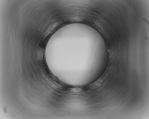 X0000100410168200806201807