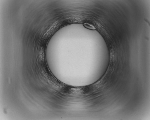 X0000100410170200806201807