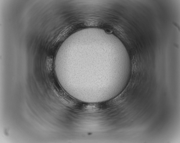 X0000100410171200806201807