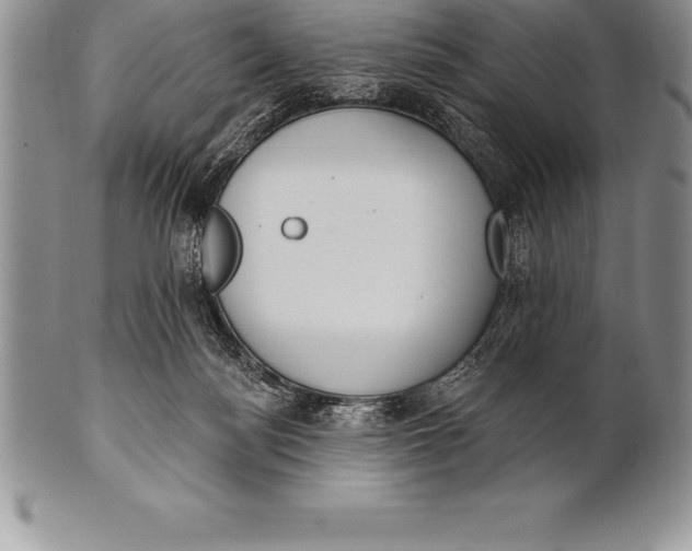 X0000100410172200806201807