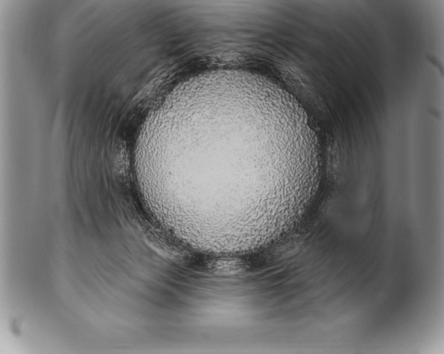 X0000100410173200806201807