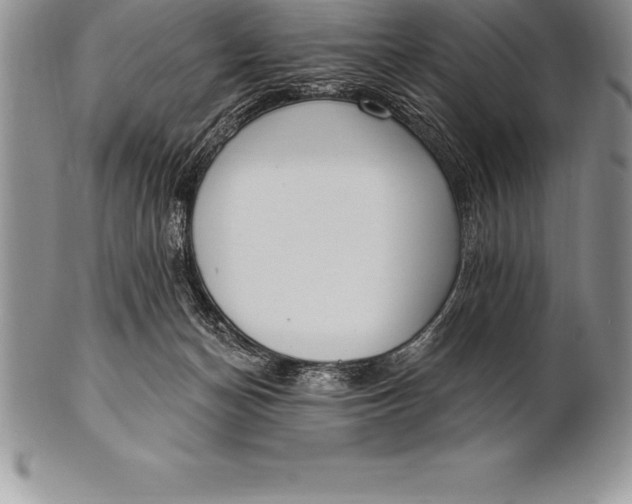 X0000100410174200806201807