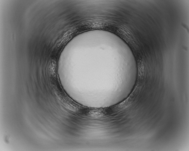 X0000100410175200806201807