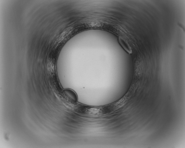 X0000100410176200806201807