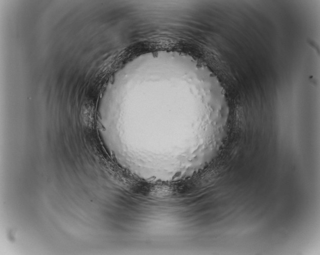 X0000100410177200806201807