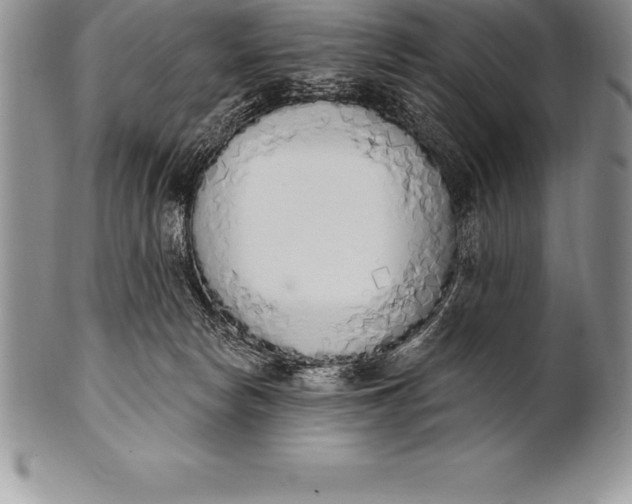 X0000100410178200806201807